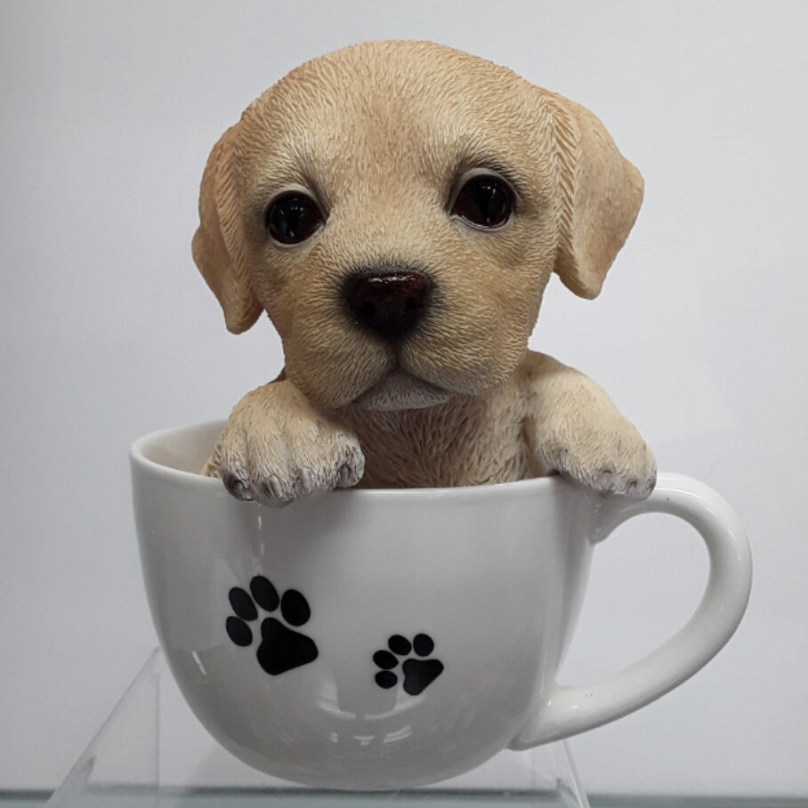 Teacup store labrador puppy